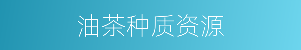 油茶种质资源的同义词
