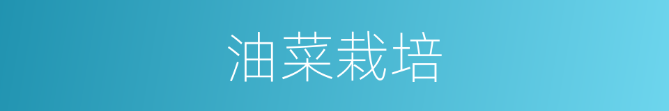 油菜栽培的同义词