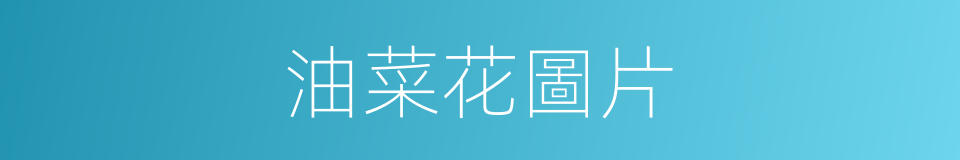 油菜花圖片的同義詞