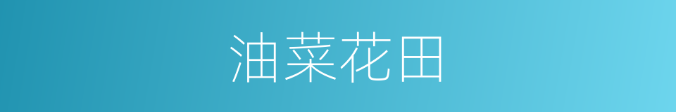 油菜花田的同义词