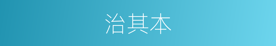 治其本的同义词