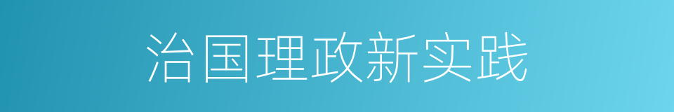 治国理政新实践的同义词