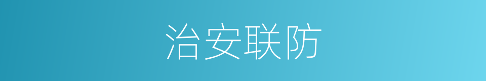 治安联防的意思