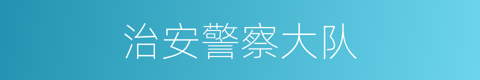 治安警察大队的同义词