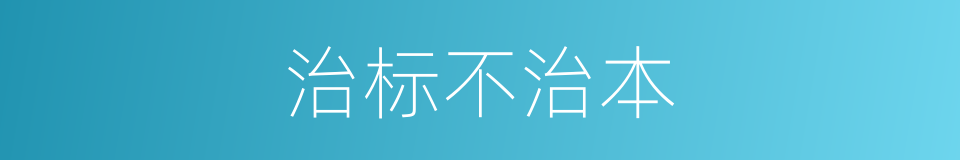 治标不治本的同义词