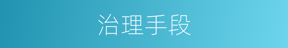 治理手段的同义词
