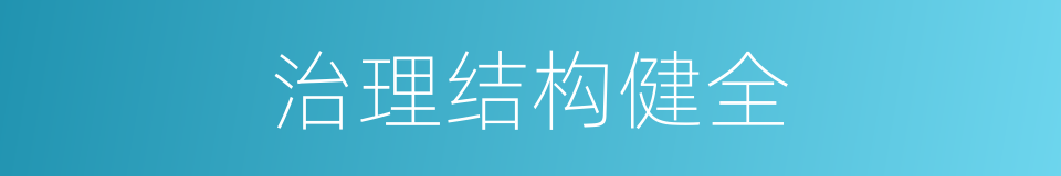 治理结构健全的同义词