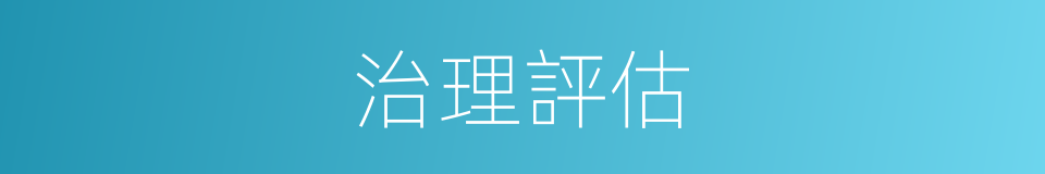 治理評估的同義詞