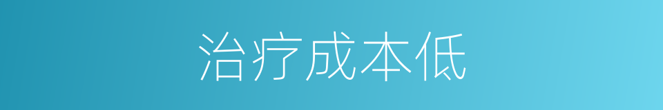 治疗成本低的同义词