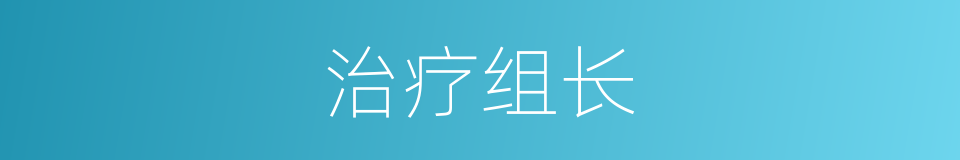 治疗组长的同义词
