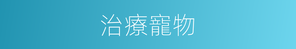 治療寵物的同義詞