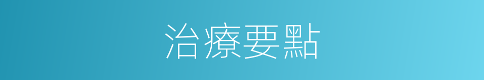 治療要點的同義詞