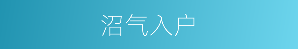 沼气入户的同义词
