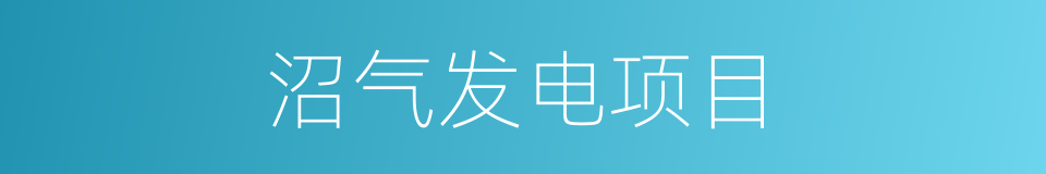 沼气发电项目的同义词