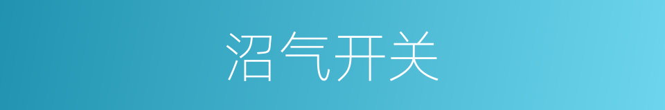 沼气开关的同义词
