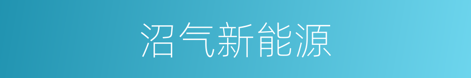沼气新能源的同义词