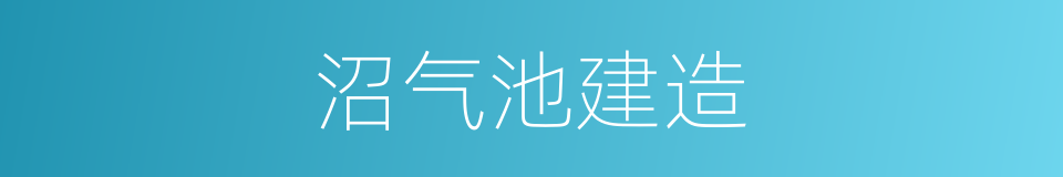 沼气池建造的同义词