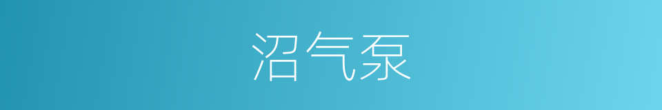 沼气泵的同义词