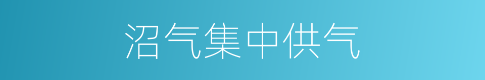 沼气集中供气的同义词