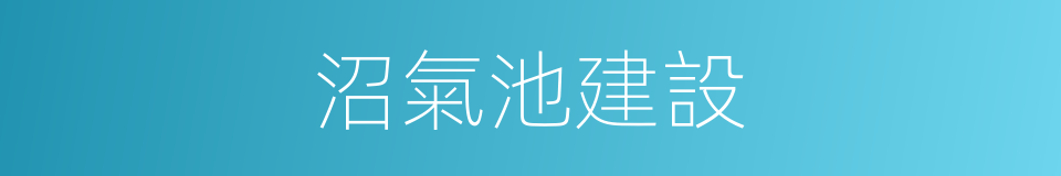 沼氣池建設的同義詞