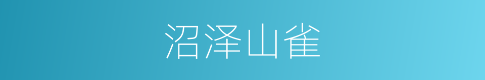 沼泽山雀的同义词