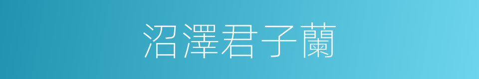 沼澤君子蘭的同義詞