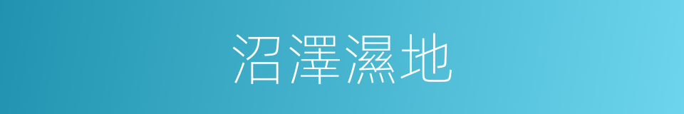 沼澤濕地的同義詞