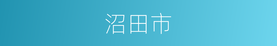 沼田市的同义词