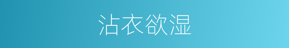 沾衣欲湿的同义词