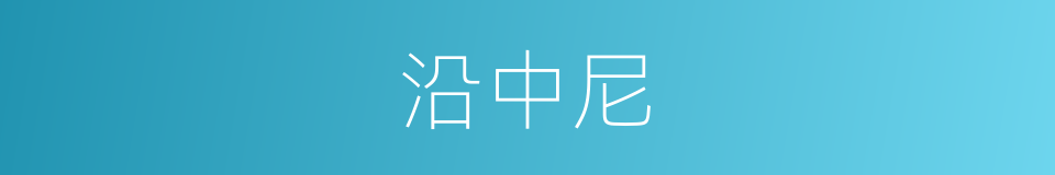 沿中尼的同义词