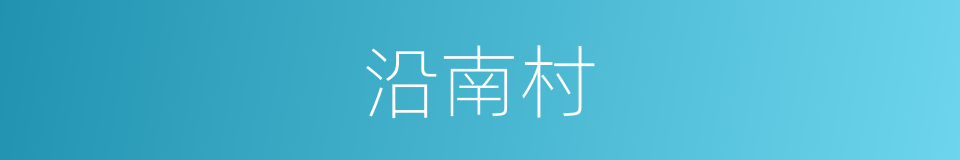 沿南村的同义词