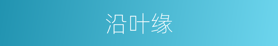 沿叶缘的同义词