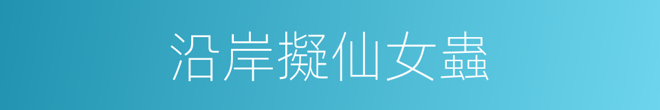 沿岸擬仙女蟲的同義詞