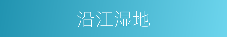 沿江湿地的同义词