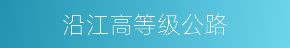 沿江高等级公路的同义词