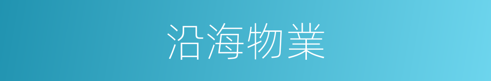 沿海物業的同義詞