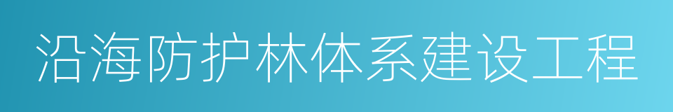 沿海防护林体系建设工程的同义词