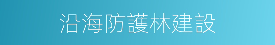 沿海防護林建設的同義詞