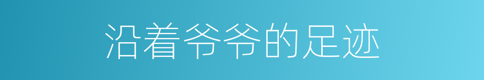 沿着爷爷的足迹的同义词