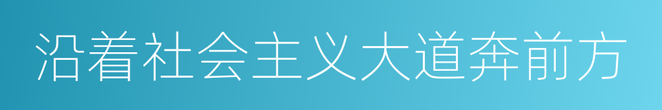 沿着社会主义大道奔前方的同义词