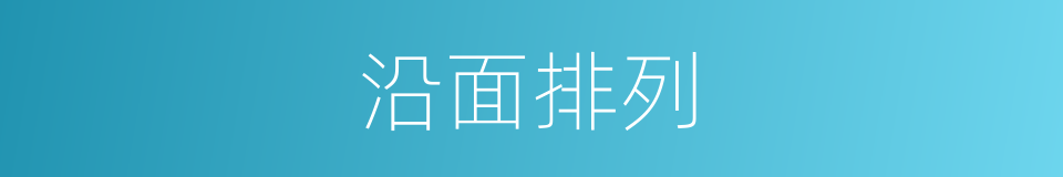 沿面排列的同义词