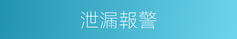 泄漏報警的同義詞
