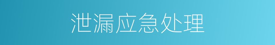 泄漏应急处理的同义词