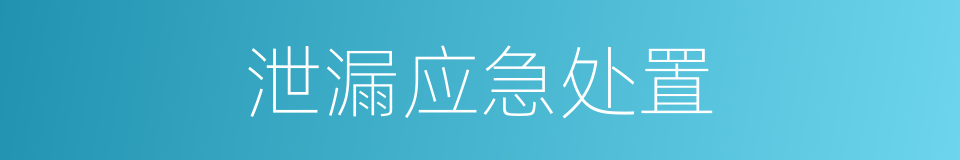 泄漏应急处置的同义词