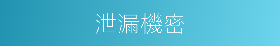 泄漏機密的意思