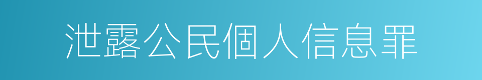 泄露公民個人信息罪的同義詞