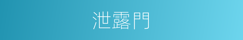 泄露門的意思