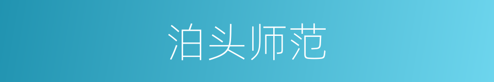 泊头师范的同义词