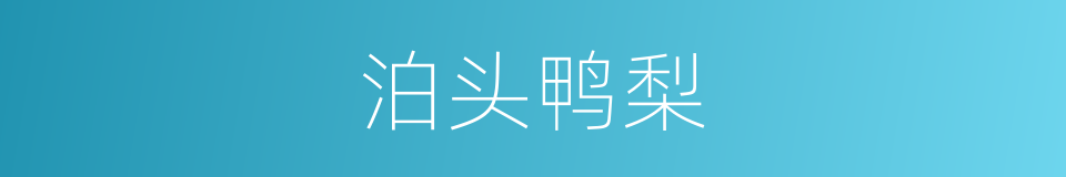 泊头鸭梨的同义词