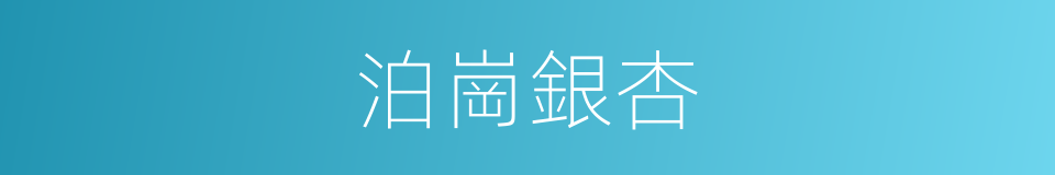 泊崗銀杏的同義詞